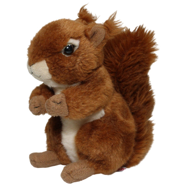 Süßes Eichhörnchen