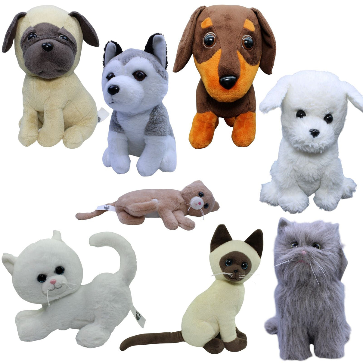 123000018844 TCC Global Pets2Cuddle, Komplettset Kuscheltier Kumpel Leo 23cm 30cm Beige