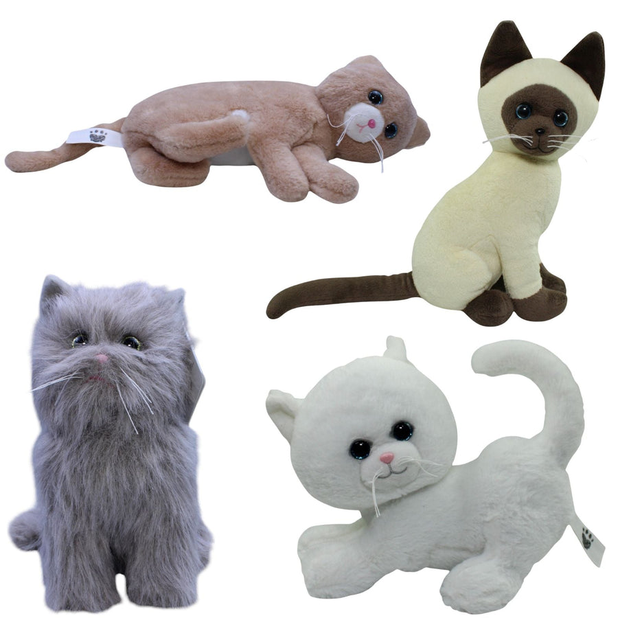Pets2Cuddle, Katzen