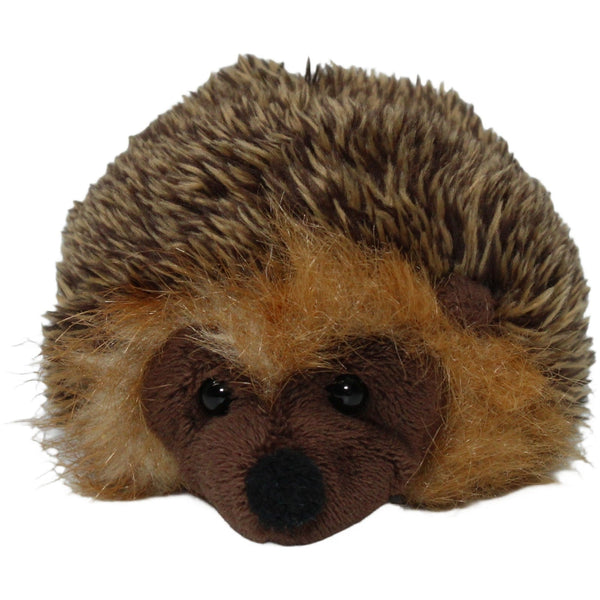 Süßer kleiner Igel