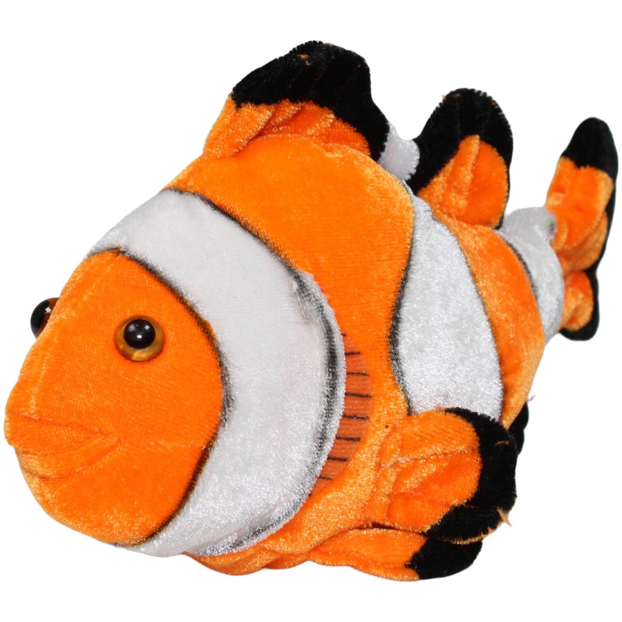 Clownfisch