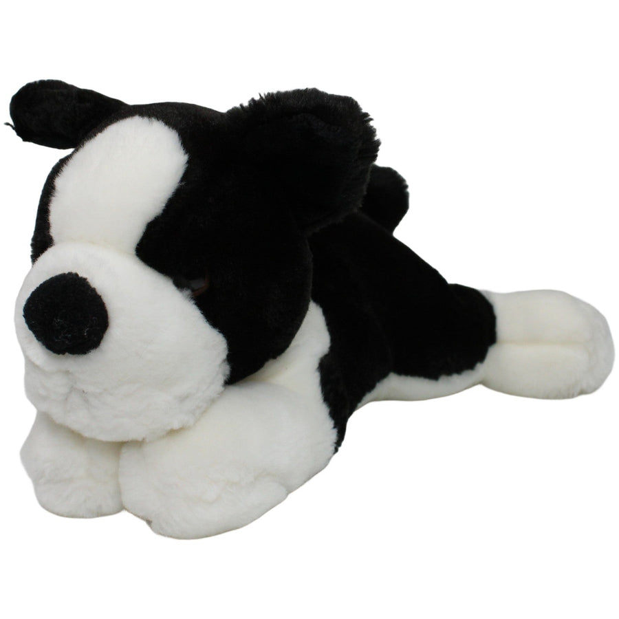 Süßer schwarz-weißer Hund, liegend