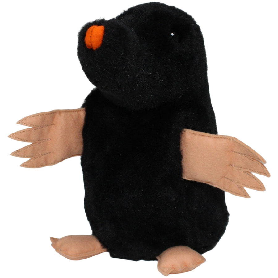 Maulwurf mit oranger Nase, stehend