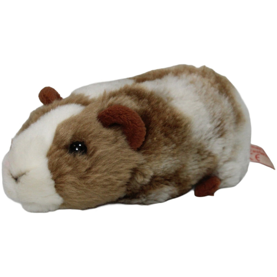 Meerschweinchen, mehrfarbig