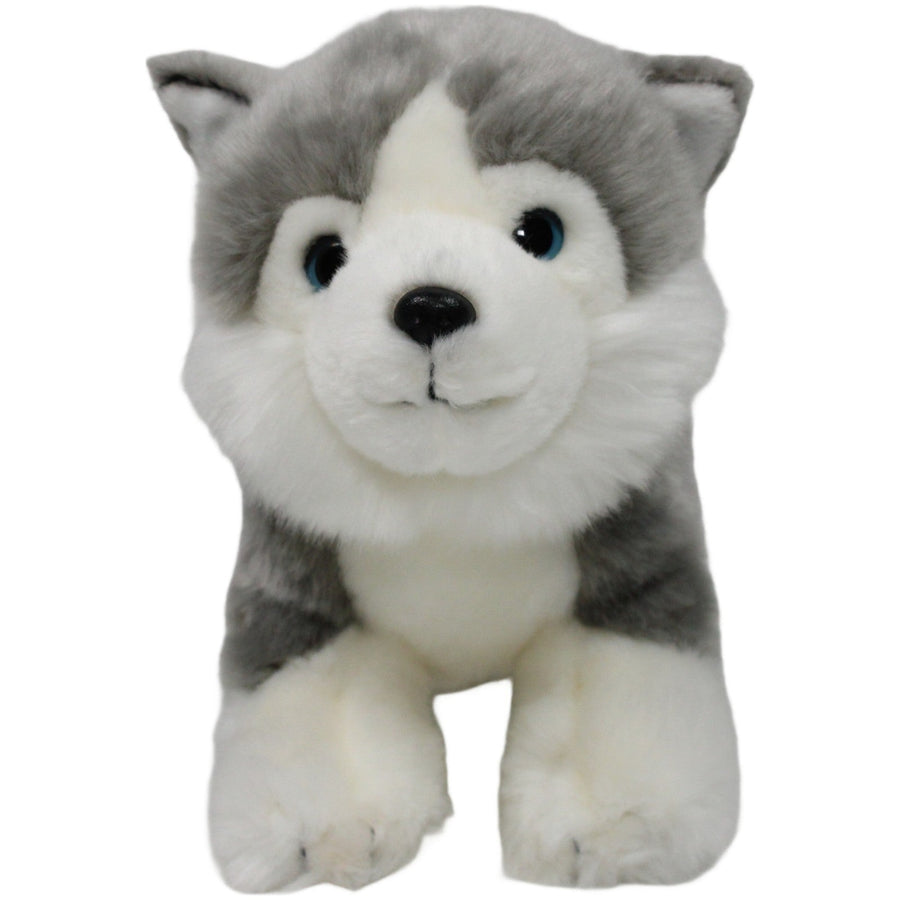 Süßer Husky Welpe, stehend