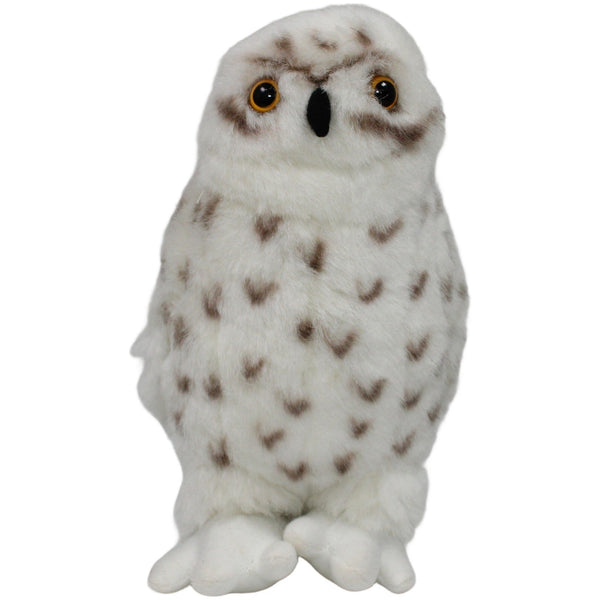 Hübsche Schneeeule