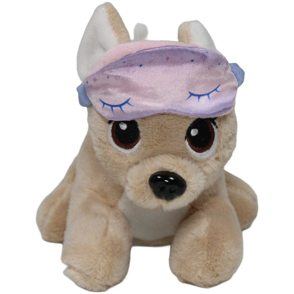 Chi Chi Love, süßer Chihuahua mit Schlafmaske