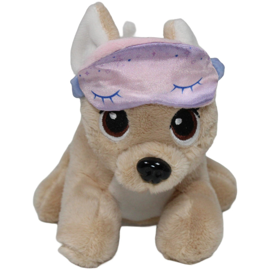Chi Chi Love, süßer Chihuahua mit Schlafmaske