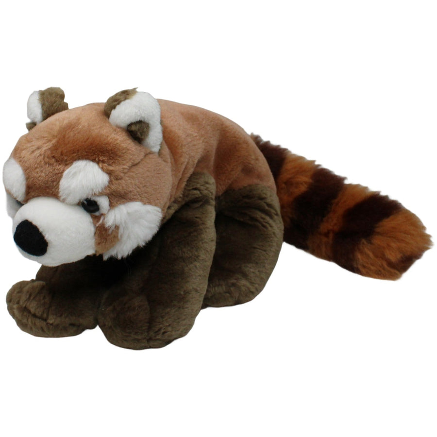 Schöner Roter Panda