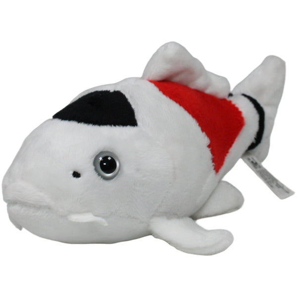 Hübscher Koi