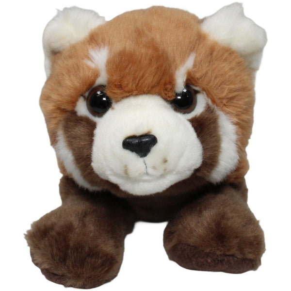 Roter Panda, liegend