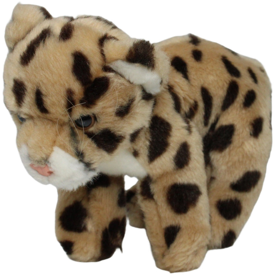 Leosco, Leopardenbaby stehend