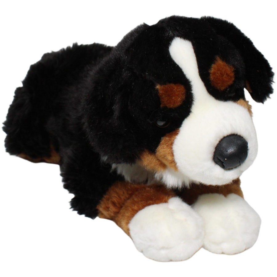 Leosco, XL Berner Sennenhund liegend