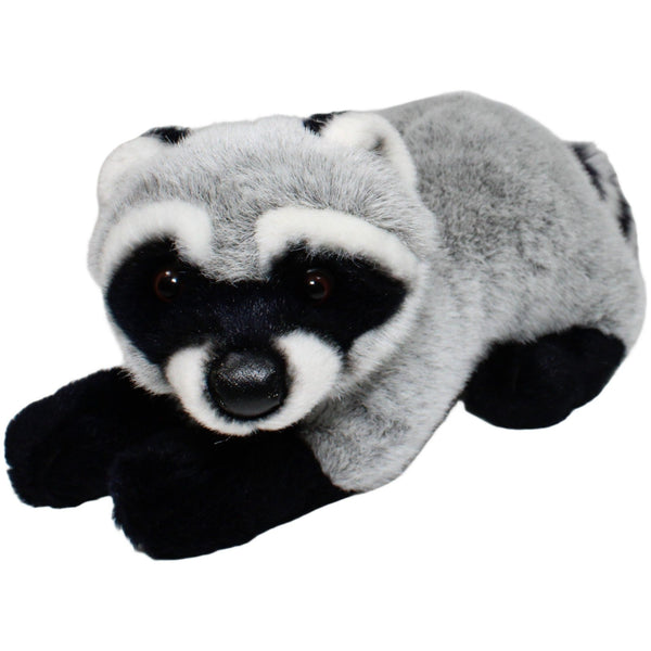 Süßer Waschbär, liegend