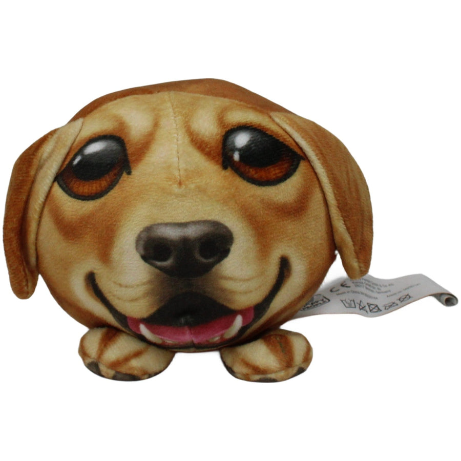 Süßer runder Hund, braun
