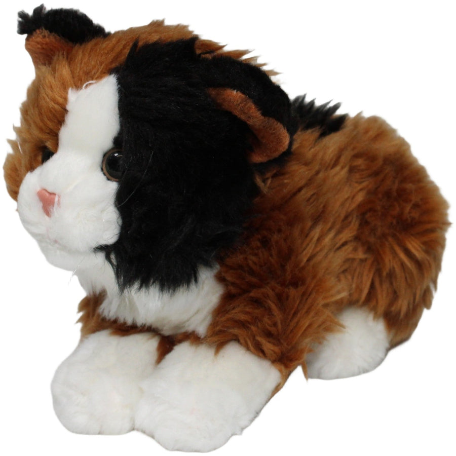 Katzen-Baby, dreifarbig