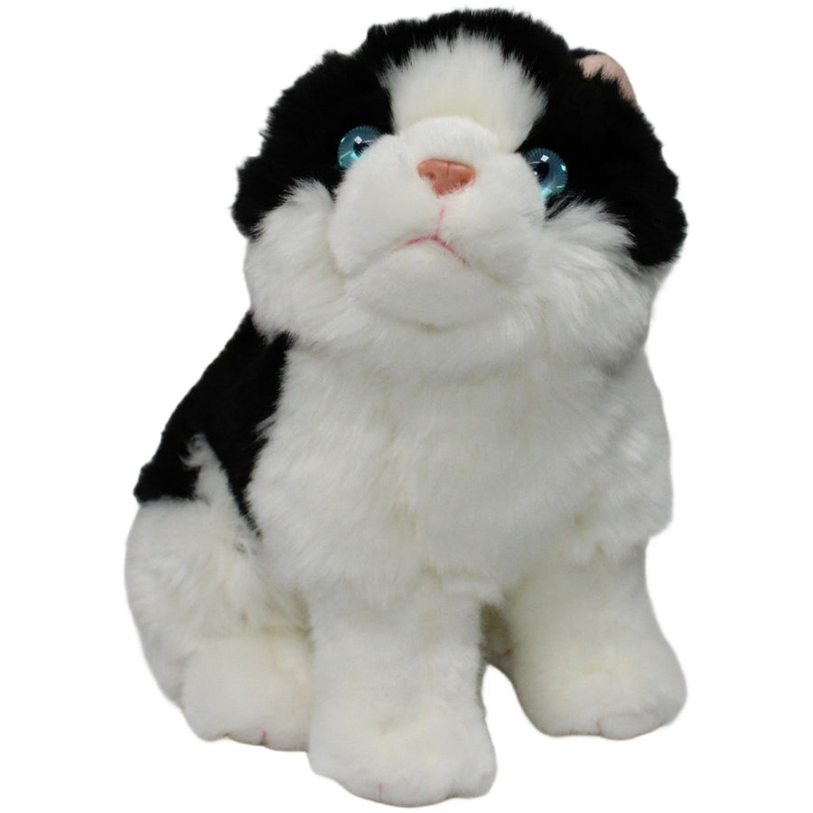 Schwarz-weiße Katze mit blauen Augen