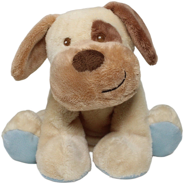 Süßer Hund mit blauem Halsband, liegend