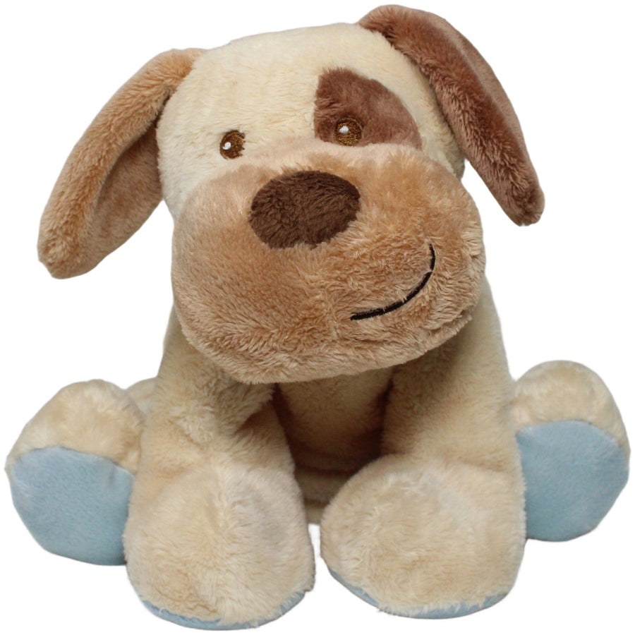 Süßer Hund mit blauem Halsband, liegend