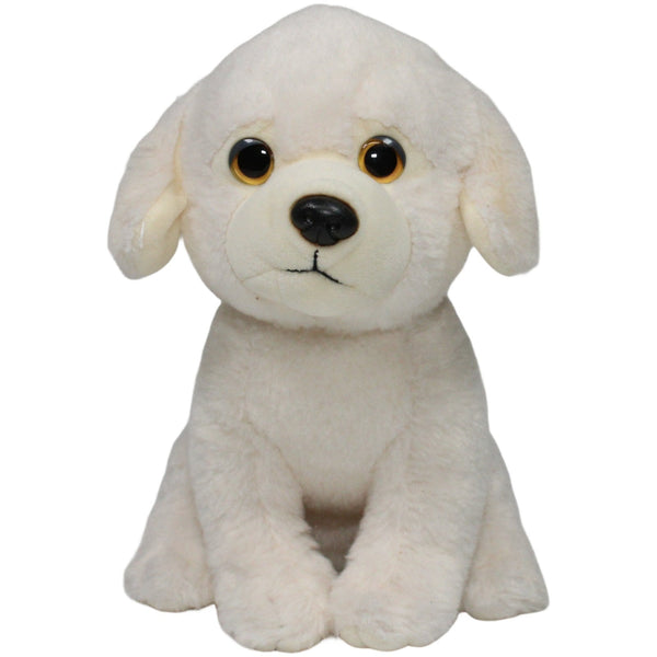 Golden Retriever Welpe, sitzend