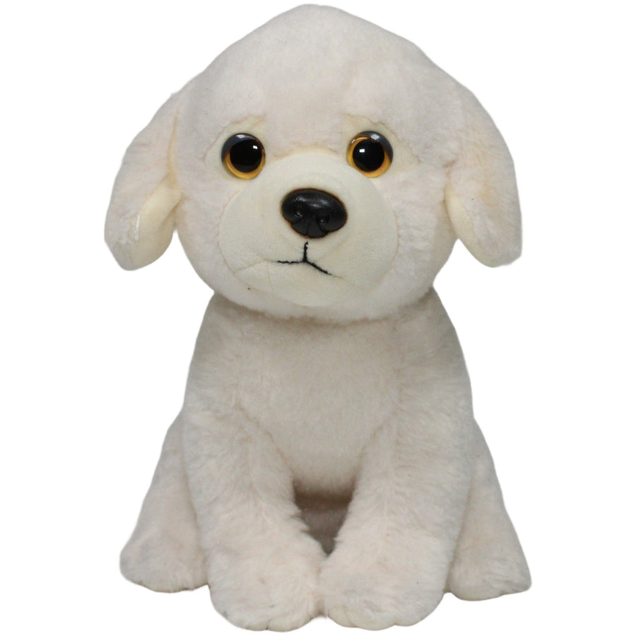 Golden Retriever Welpe, sitzend