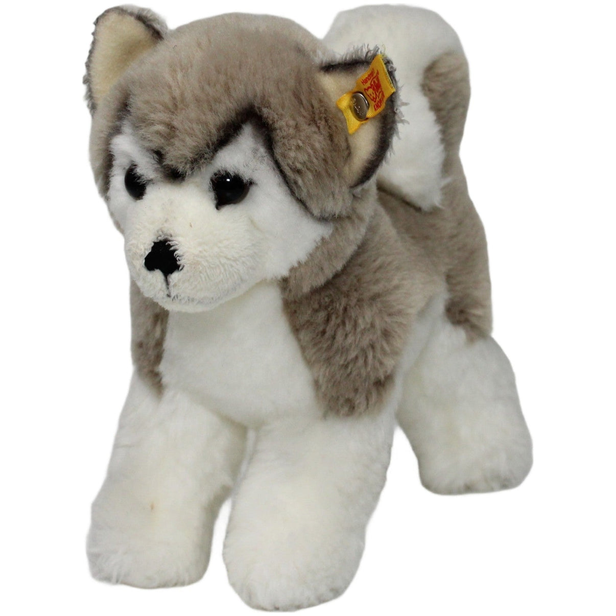 123000020928 Steiff Bernie Husky (104985), stehend Kuscheltier Kumpel Leo 17cm ebay - stofftiere Gebraucht