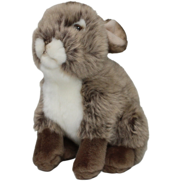 Süßer brauner Hase, sitzend