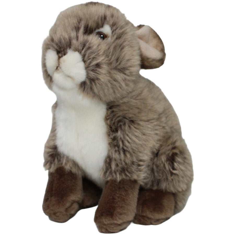 Süßer brauner Hase, sitzend