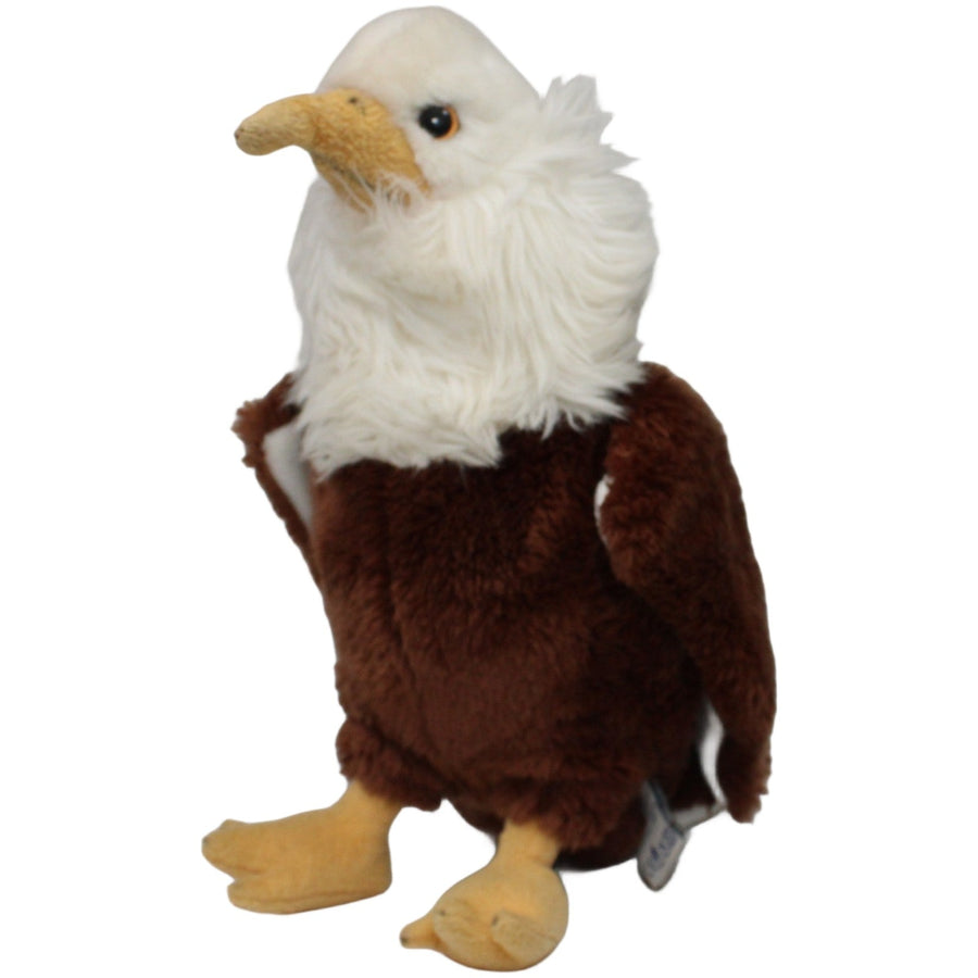 Plan, hübscher Weißkopfseeadler