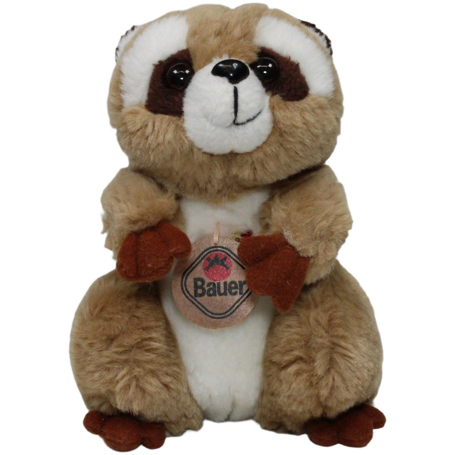Brauner Waschbär, klein