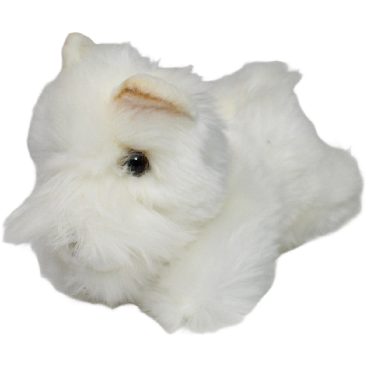 123000021037 Aurora Miyoni by Aurora, weißer Westie liegend Kuscheltier Kumpel Leo 20cm ebay - stofftiere Gebraucht