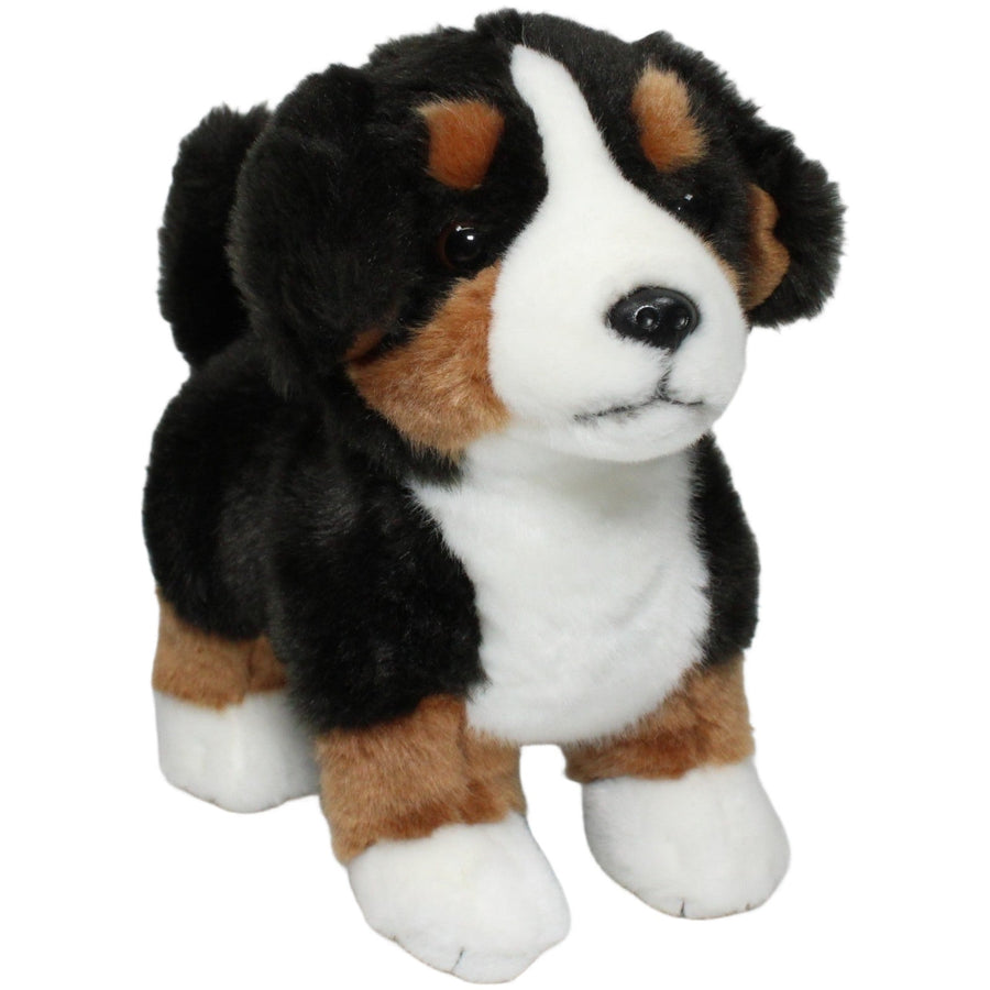 Berner Sennenhund Welpe