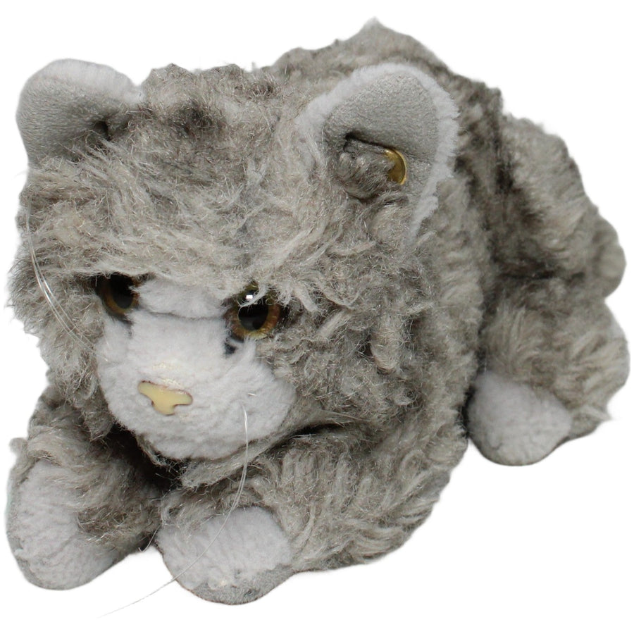 Graue Katze, liegend