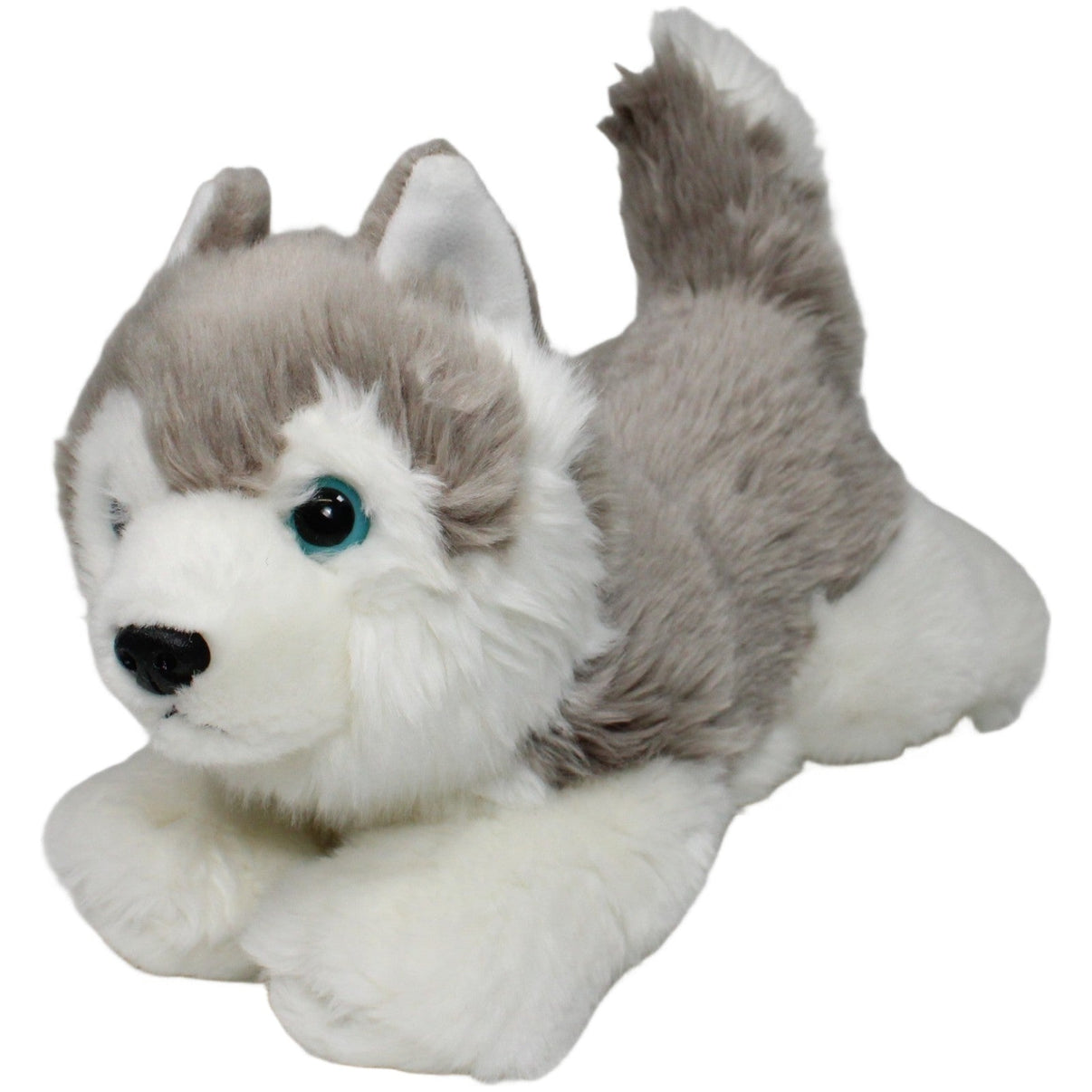123000021105 Aurora Husky, liegend Kuscheltier Kumpel Leo 30cm ebay - stofftiere Gebraucht