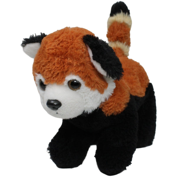 Roter Panda