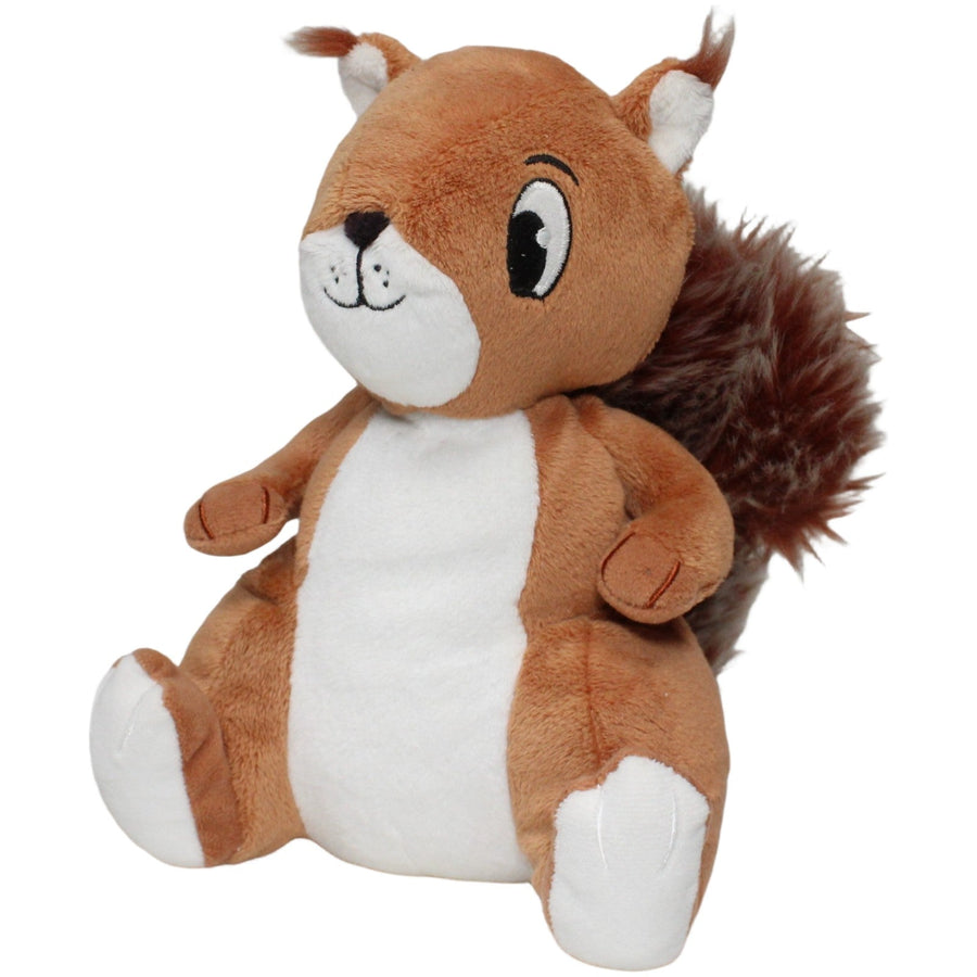 Süßes Eichhörnchen