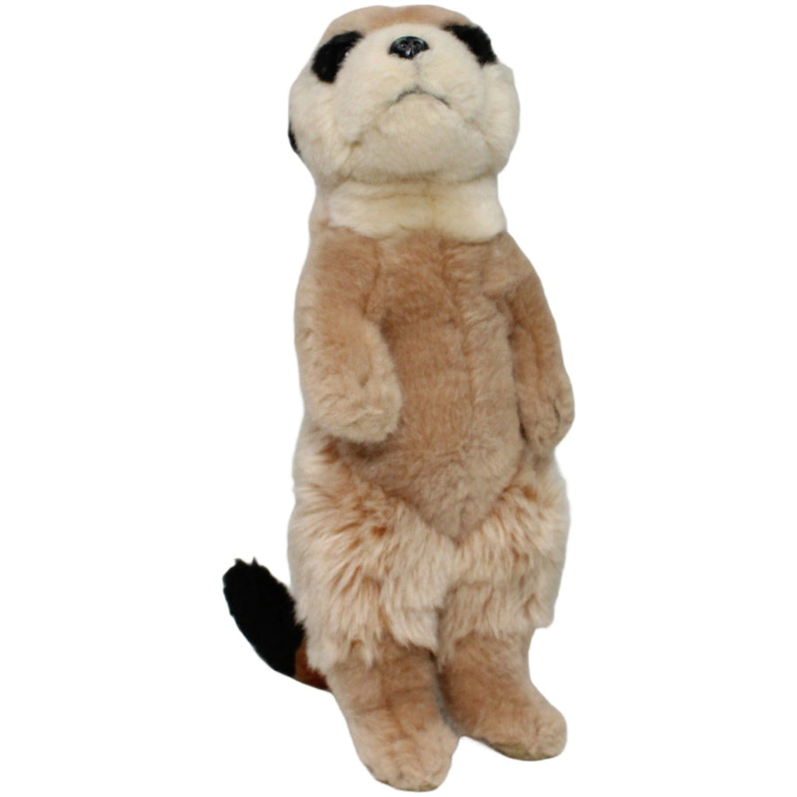 Süßes Erdmännchen, stehened