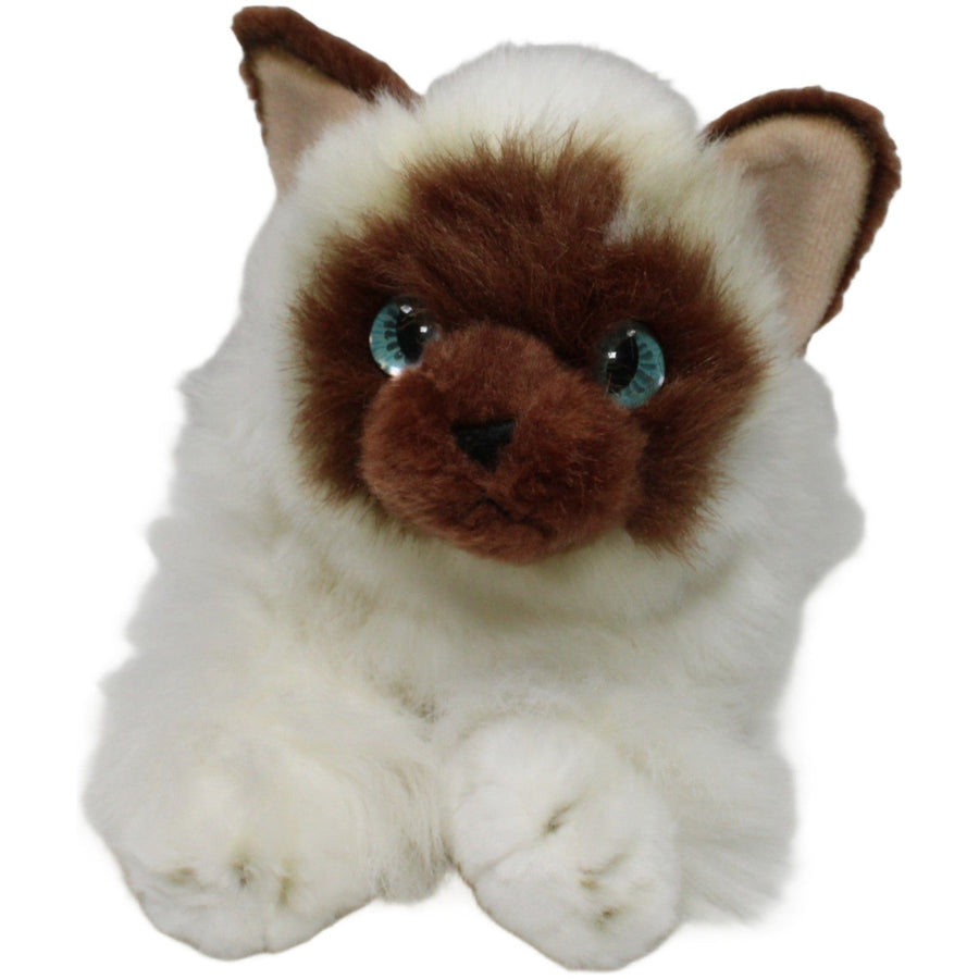 Flopsies, liegende Balinesen Katze