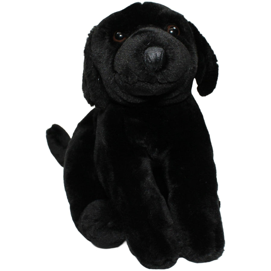 Schwarzer Labrador, liegend
