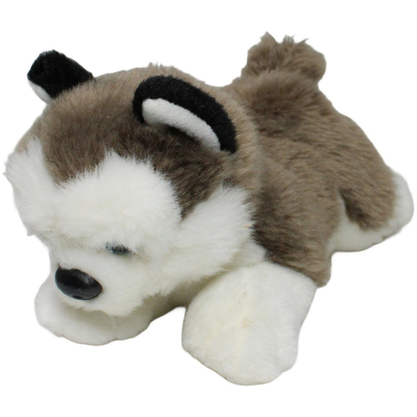 Husky Welpe, liegend