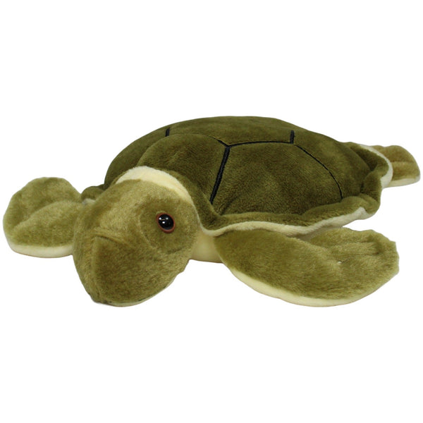 Schildkröte mit beigem Bauch