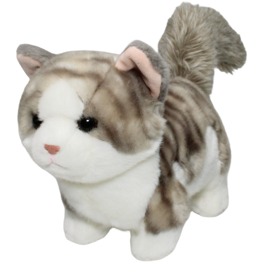 Süße Katze mit kurzen Beinen
