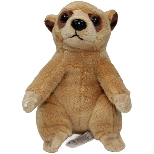 Kleines Erdmännchen, stehend