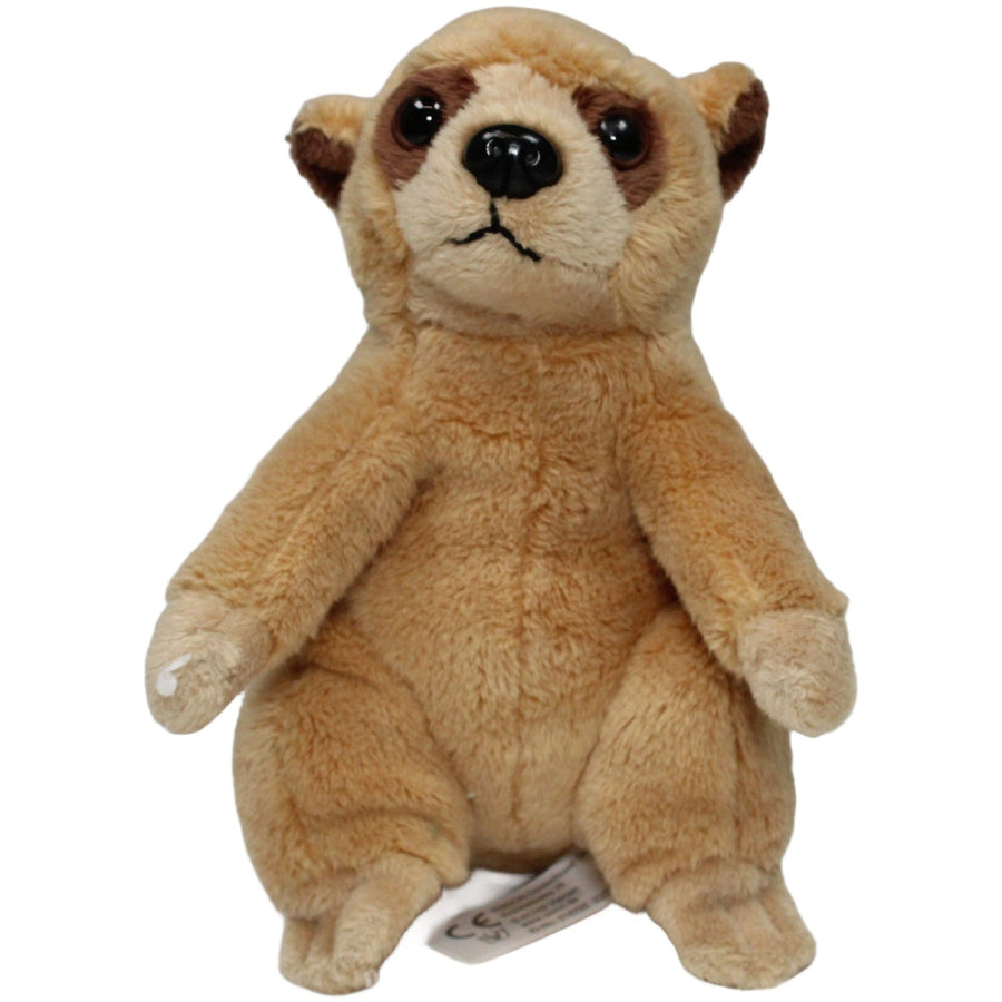 Kleines Erdmännchen, stehend