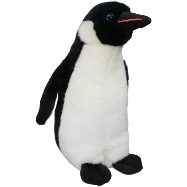 Hübscher Kaiserpinguin