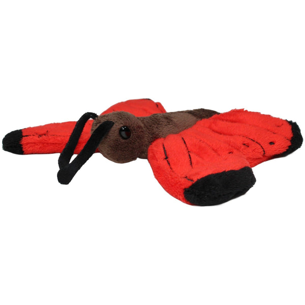 Schöner Schmetterling mit roten Flügeln