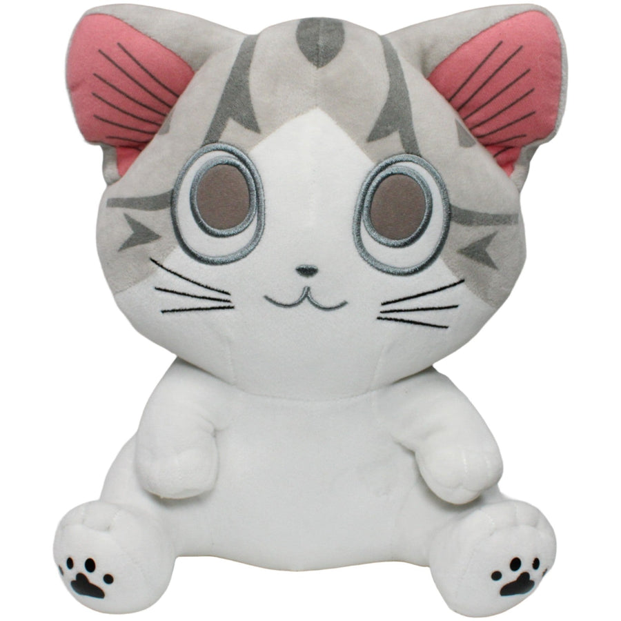 Kleine Katze Chi