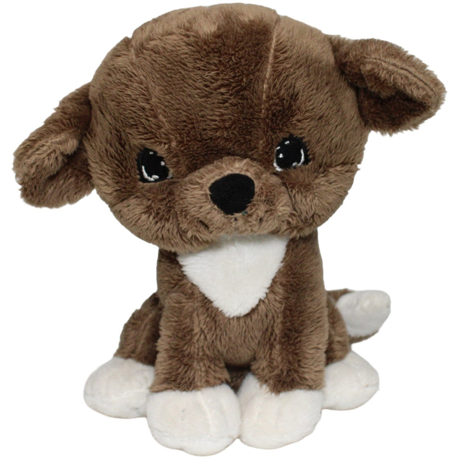 Süßer brauner Hund