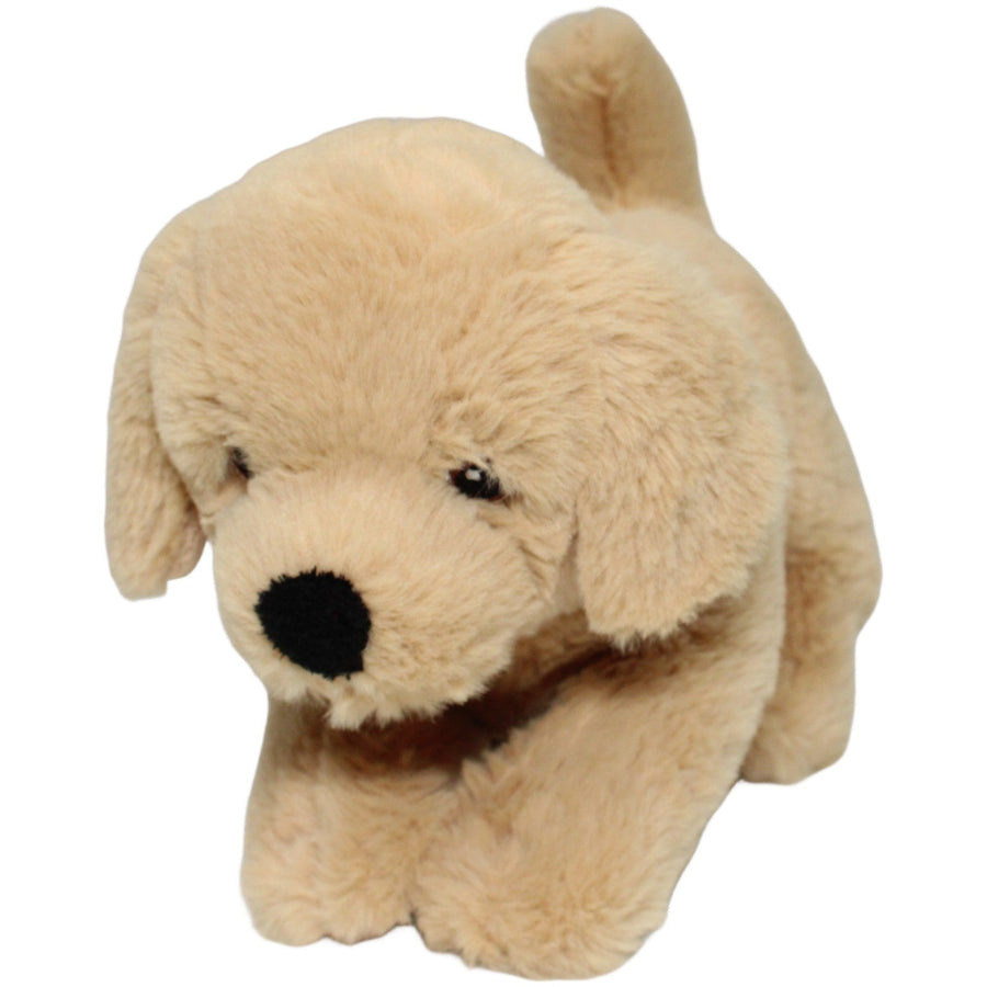 Eco Nation, superweicher Labrador Welpe