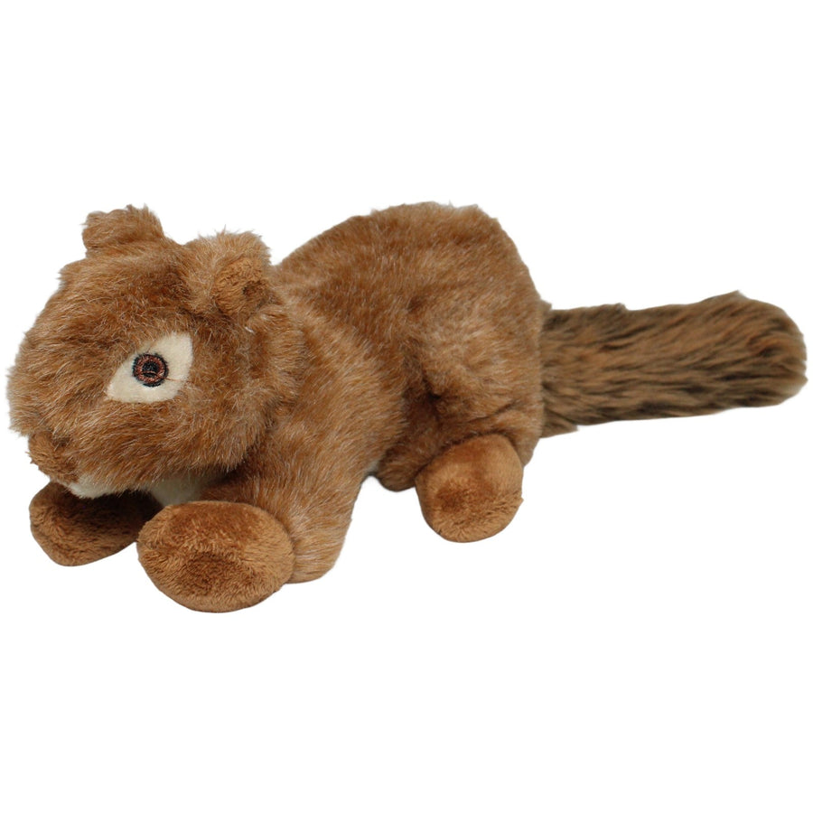 Süßes Eichhörnchen mit langem Schwanz